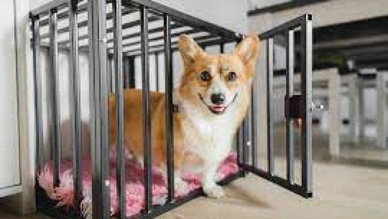 The 8 Best Dog Crate End Tables To Blend In With Your Room