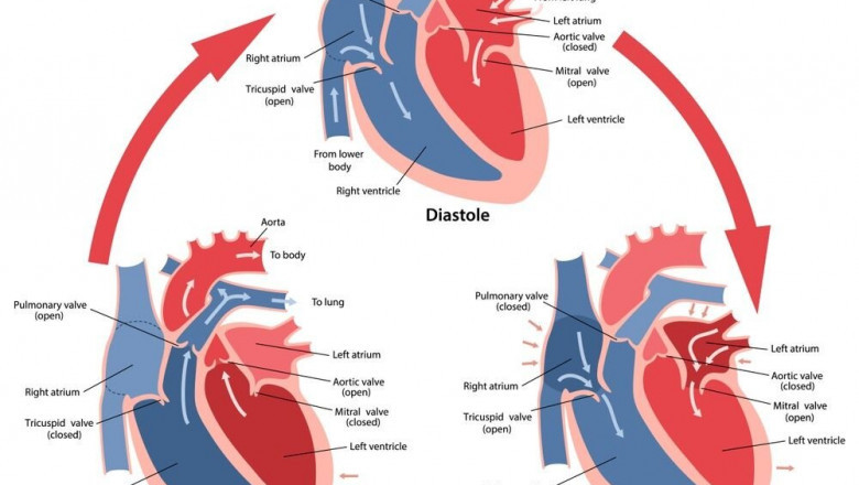 Cardiac Valve Market is predominantly driven by the Rising Product Innovations; MRFR Reveals Insights for 2019 – 2027