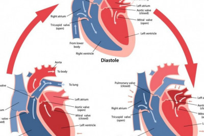 Cardiac Valve Market is predominantly driven by the Rising Product Innovations; MRFR Reveals Insights for 2019 – 2027