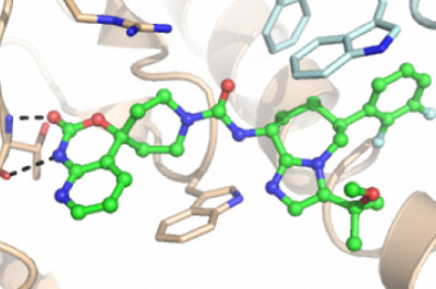Molecular Modelling Market Trends, Strategies, Potential Growth and Demand Analysis Forecast to 2027