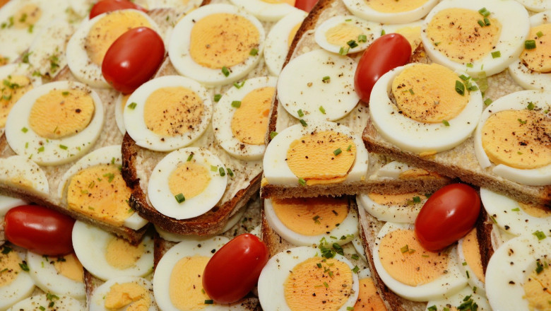 Omega-3 Eggs Market - Global Industry Report, 2025