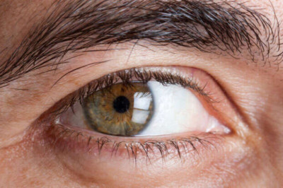 Diabetic Retinopathy Market 2021: Size, Upcoming Trends, On-Going Demand, Growth and Forecast from 2021 to 2027