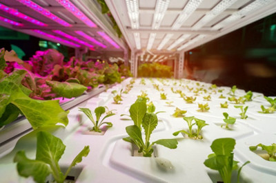 Horticulture Lighting Market Overview, Analysis forecast to 2027