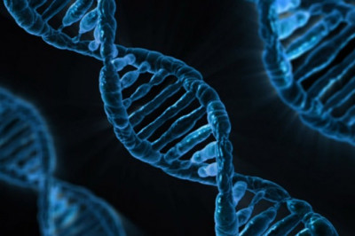 Recombinant DNA Technology Market MRFR Reveals Covid-19 Analysis for 2021-2027