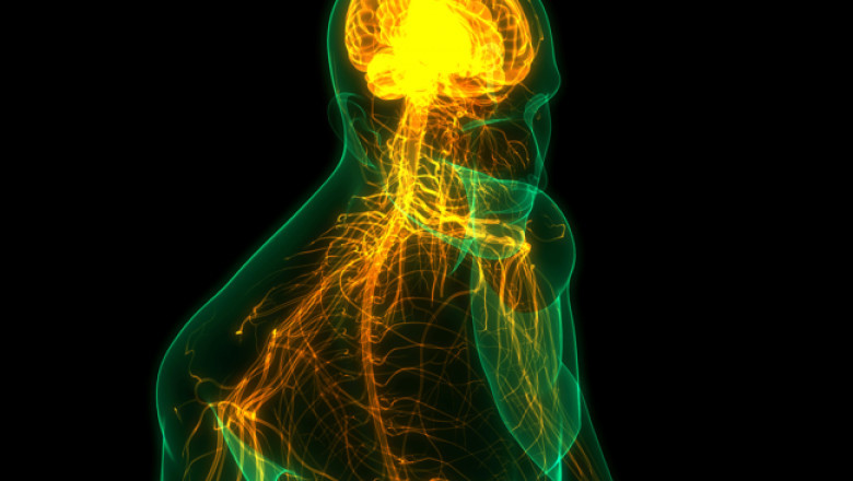 Amyotrophic Lateral Sclerosis Market Share, Size, Expected CAGR, Future Investment to 2027 | ITF Pharma (USA), Sanofi (France), Mylan N.V. (USA), Mitsubishi Tanabe Pharma America (USA), Ionis Pharmaceutical (USA), Sun Pharmac