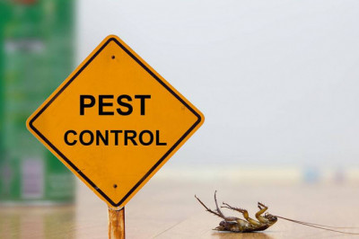 PROFESSIONAL PEST CONTROL NOIDA