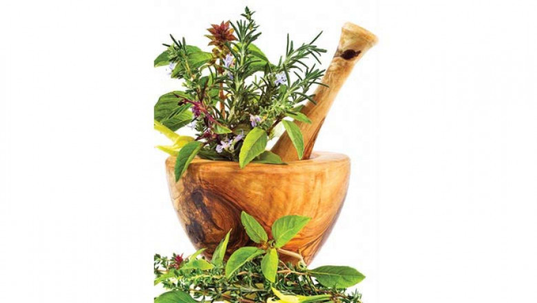 Top Benefits of Using Ayurveda Products