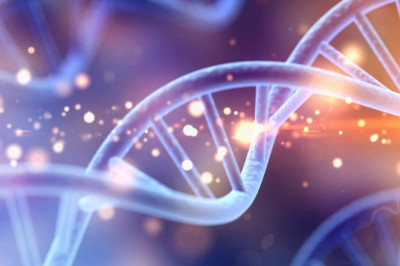 Biologics Market Synopsis and Highlights, Key Findings, Major Companies’ Analysis and Forecast to 2027