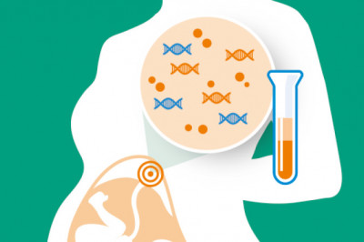 Non-Invasive Prenatal Testing (NIPT) Market Investment Opportunities, Upcoming Challenges, Growth Forecast, Current Trends 2027