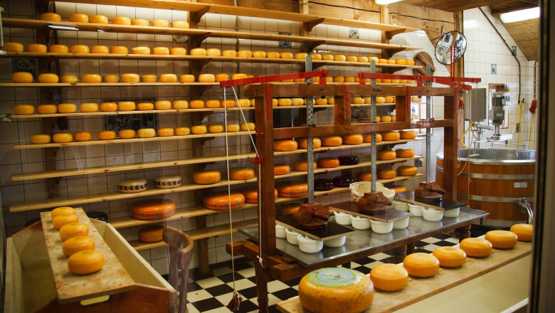 Non-thermal Food Processing Market - Global Industry Analysis 2026