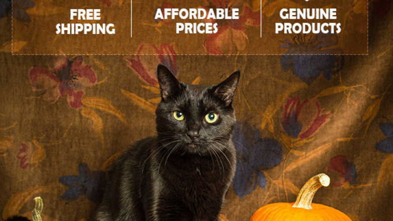 PetLoversAU- eBay's best store, is offering Halloween treats for your pets.