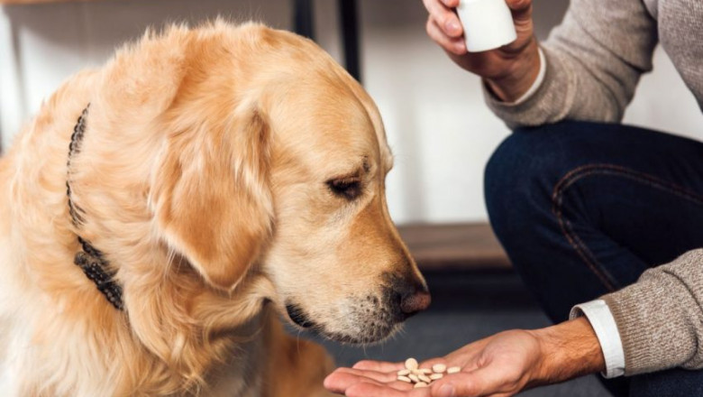 The increased demand for companion animal drugs including parasiticides in order to protect pet animals from fleas