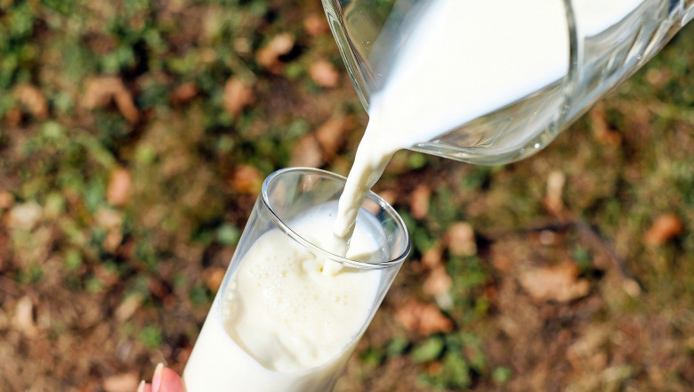 Class IV Milk Market - Global Industry Analysis 2026