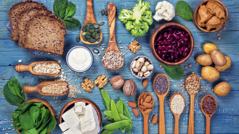 Plant protein market recorded substantial growth in the last two quarters in the United States