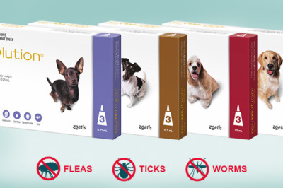 REVOLUTION: Solution For 3 Problems (Fleas, Ticks And Worms in Dogs) | DiscountPetCare
