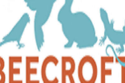 Avian Pet Care Singapore, Bird Veterinary Clinic Singapore