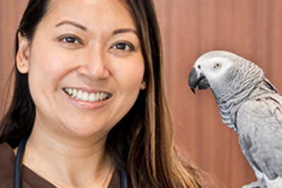 Dr. Rina Maguire - Our Team