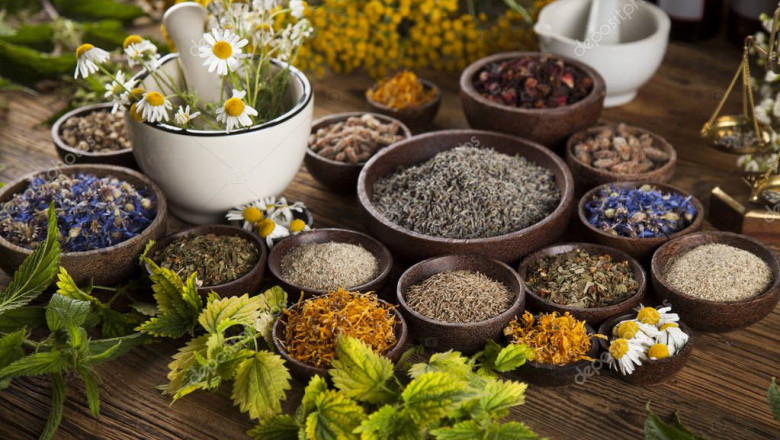 Herbal Medicine - Top Five Herbal Medicine Providers in Pakistan