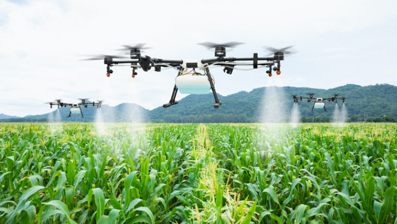 Smart Plantation Management Systems Market 2027 by Type, Component and Geography | The Insight Partners