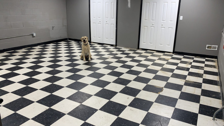 The “Three D’s” of Dog Training