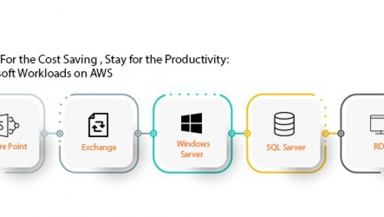 Come for the Cost Savings, Stay for the Productivity: Microsoft Workloads on AWS