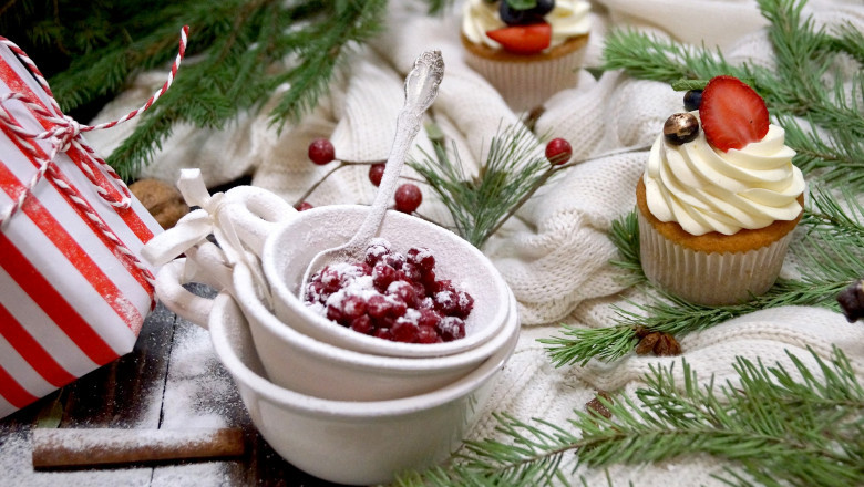 Cream Powder Market – Global Industry Analysis 2028