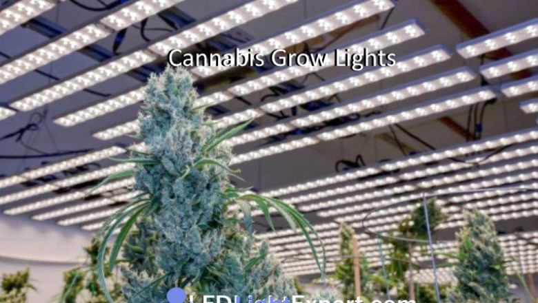 Exactly how The Usage Of LED Lights Is Obtaining Extra Popular In Today's Time?