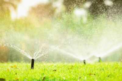 Things to Avoid When Landscaping in Hot Weather