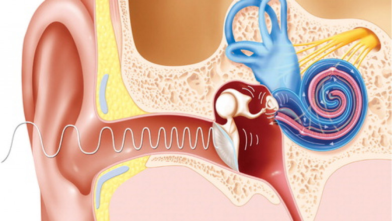 Acute Otitis Media Treatments include a variety of medications that can aid in the recovery of infants and adults suffering from this ear infection
