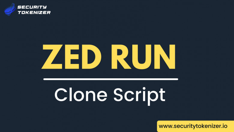 Zed Run Clone Script
