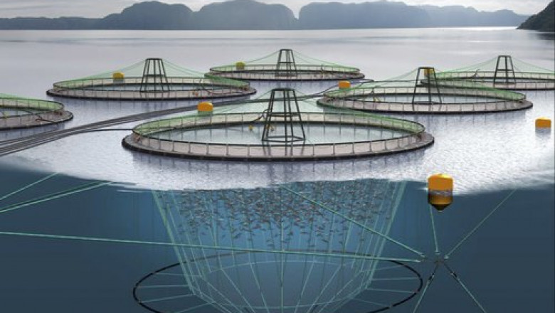 Another type of Fishing Net and Aquaculture Cage that is commonly used by fish farmers is the fish farming aerator