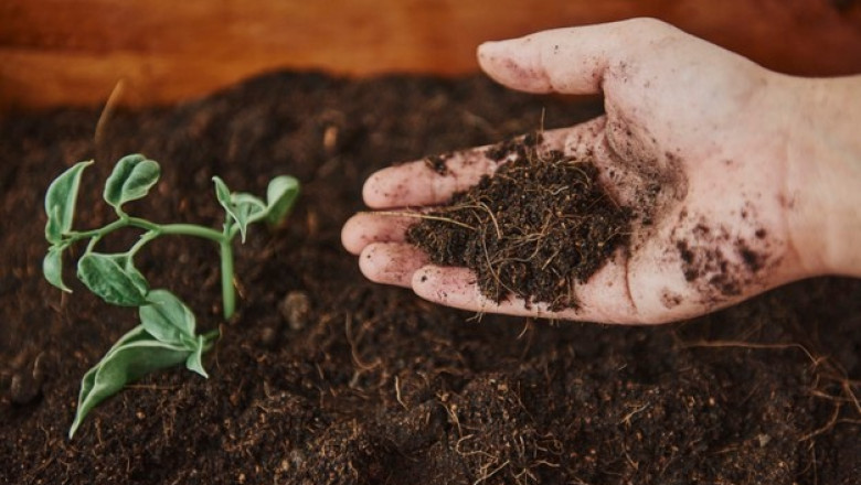 Bio Fertilizers Market: Industry Analysis and Forecast (2021-2027) by Type, Form, Mode of Operation, Crop Type and Region.
