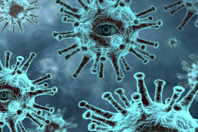 Blood-Brain Barrier (BBB) Market, 2020-2030 by Roots Analysis