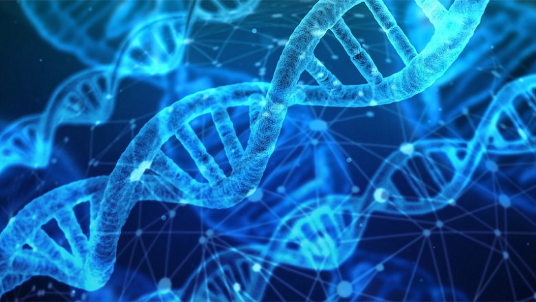 Bioinformatics Market expected to reach at a CAGR of 16.5% in the forecast period 2019 to 2026