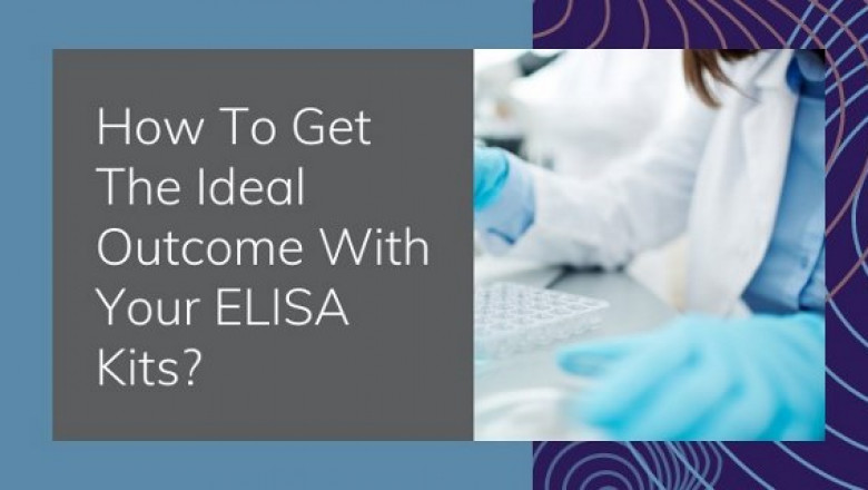 How To Get The Ideal Outcome With Your ELISA Kits?