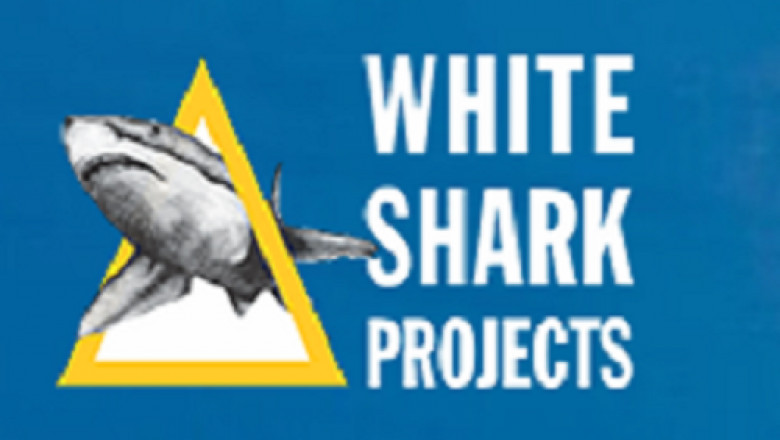 Shark Cage Diving SA