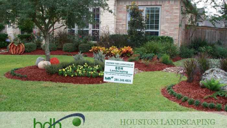 Best Katy Landscaper | Affordable Backyard Landscaping