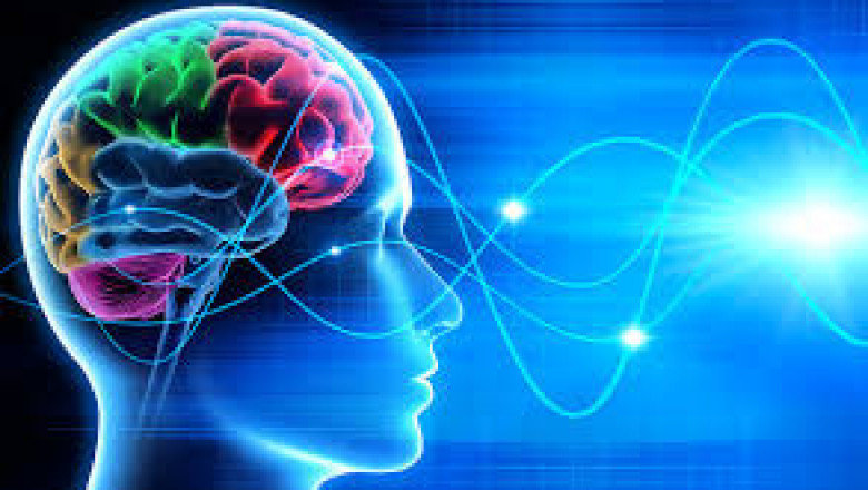 The Neuromarketing Solution has emerged as a powerful tool in the neuroscience field