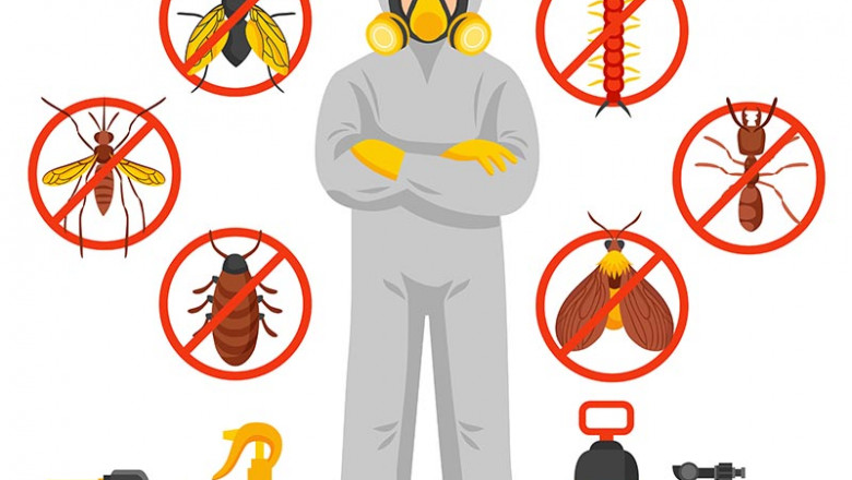 Toms Pest Control Canberra