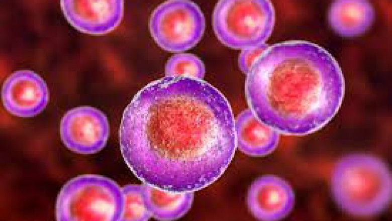 Cell lysis involves the breakup of a cell membrane by an osmotic, enzymatic or viral mechanism, preserving the integrity of the cell