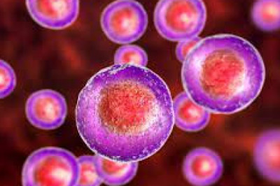 Cell lysis involves the breakup of a cell membrane by an osmotic, enzymatic or viral mechanism, preserving the integrity of the cell