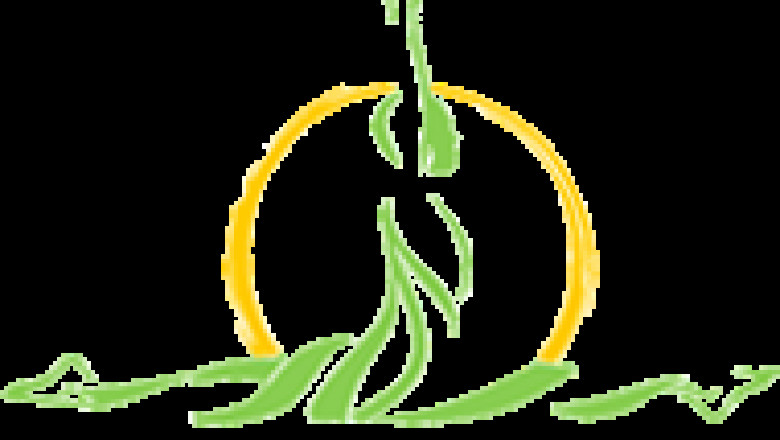 Dhyana Dubai - The Best Best Yoga Classes in Dubai