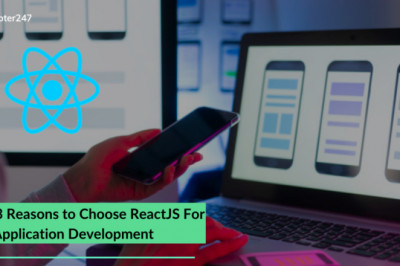 Know top reasons to choose Reactjs Development for your next Web Application