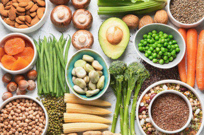 Middle East & Africa Plant Protein Market Products, Services and Solutions