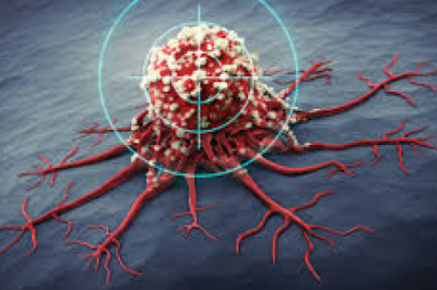 Targeted Cancer Therapies are medications that inhibit cancer development and proliferation by interfering with specific molecules