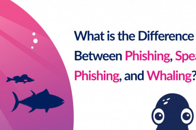 What Is The Difference Between Spear Phishing And Whaling?