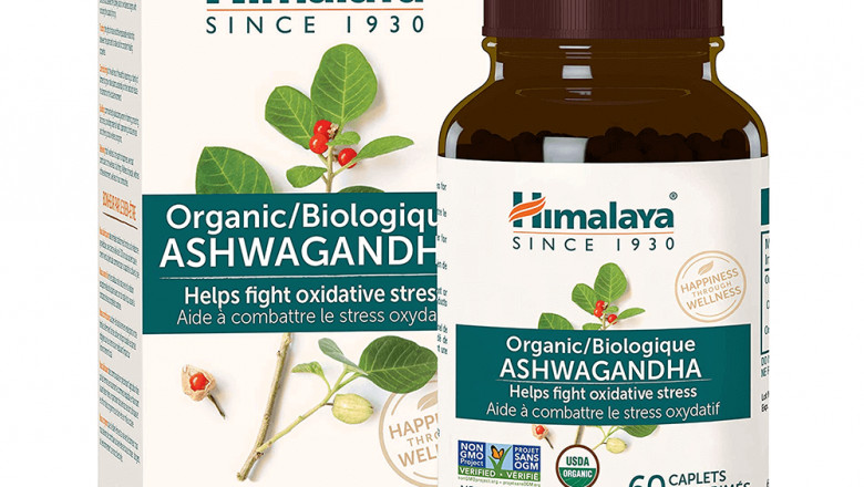 Best Immunity Booster in USA