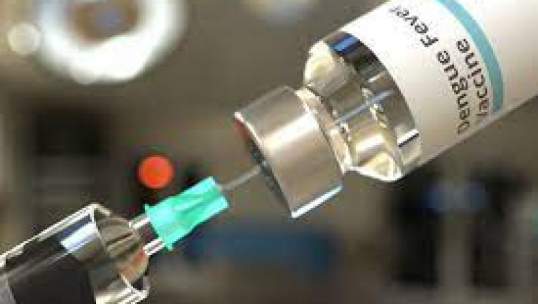 Dengue Vaccines Market Share and Growth Analysis