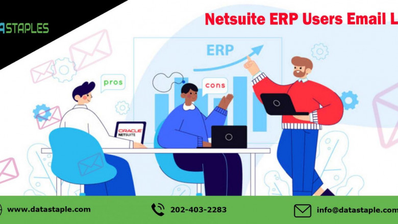 NetSuite ERP Users Email List