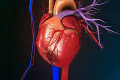 The interruption of blood supply to the heart muscles causes myocardial infarction, which results in death.